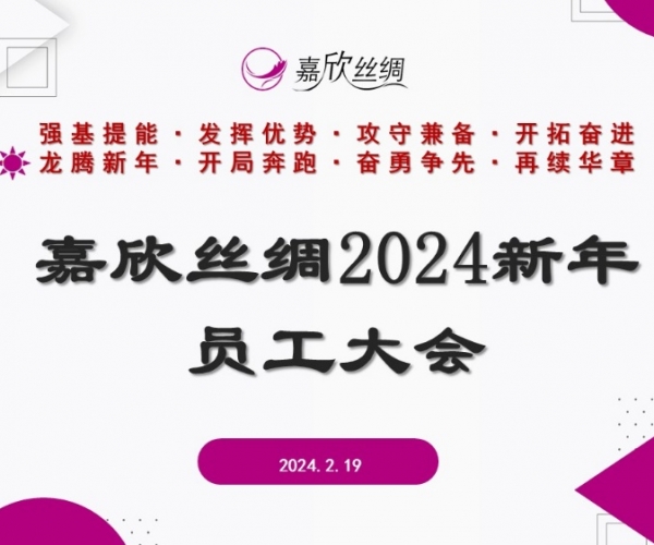 尊龙凯时人生就是搏丝绸召开2024新年员工大会